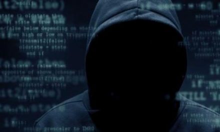 The Professionalisation of Cyber Criminals